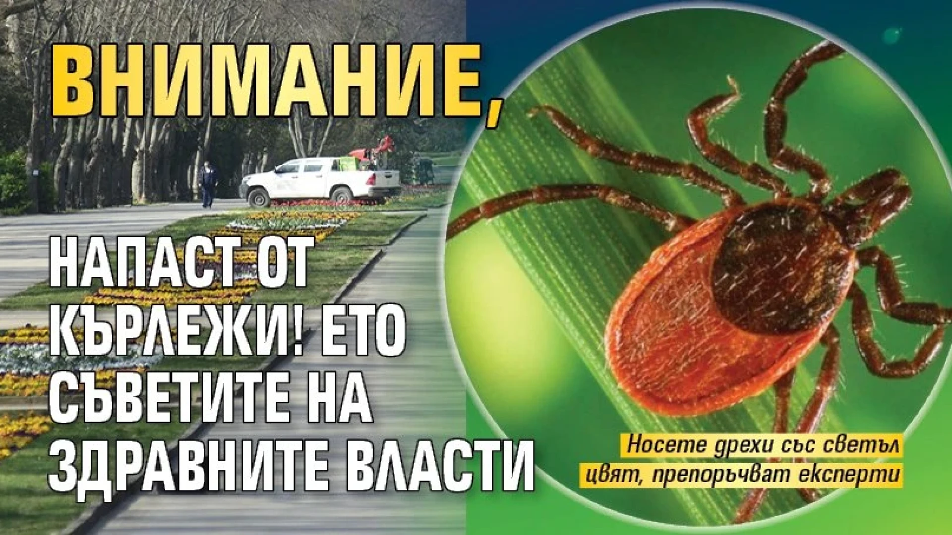 Страшна напаст, не пускайте децата си навън, опасно е! 3 1742741762 c3c21225b4096709d6e580b0205176c6