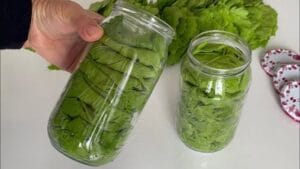 Съхранявам лозовите листа по този начин 2 ГОДИНИ! Още по-вкусни от пресни! 90 495641468 1158728846268503 8533798131908354089 n