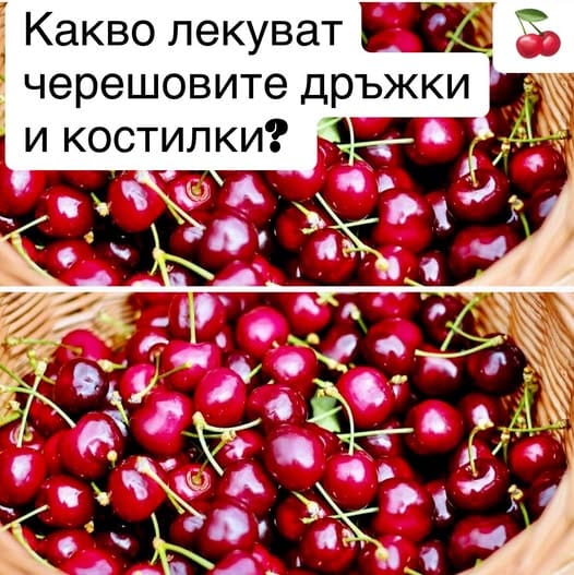 Какво лекуват черешовите дръжки и костилки? 🍒👉👉 4 498009955 704588271945789 992889095518627030 n