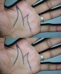 Какво означава буквата М на дланта? 😱 Ще бъдете шокирани, когато научите скрития смисъл на тази загадъчна буква 😲 Това е изключително рядко явление — само 1–2 % от хората в света имат този знак 74 499955520 122196573668090567 4075293497819319010 n