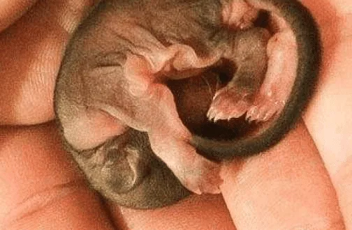 image 776 504x330 1.png