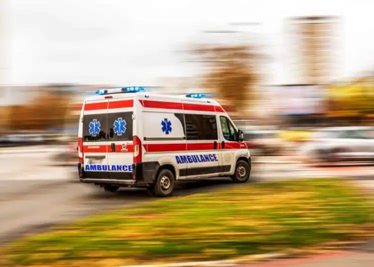 topola zaginali hora qma