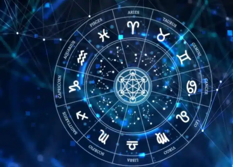 zodii 8
