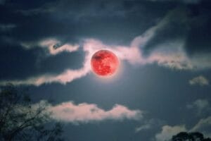 Ягодова луна ще обагри нощното небе на 11 юни - удря като гръм в ясна нощ ПЕТ зодии 32 505732534 699337236175511 341971407414088148 n