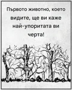 Всичко зависи от това кое животно сте видели първо! 46 508458397 122168997020537052 6840134256909944022 n