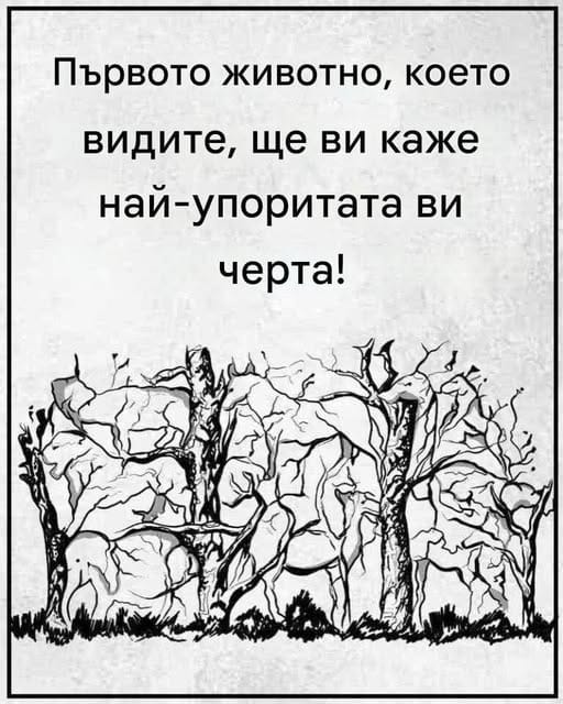 Всичко зависи от това кое животно сте видели първо! 4 508458397 122168997020537052 6840134256909944022 n