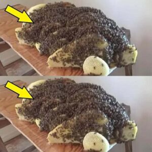Учени предупреждават! Ето какво откриха под леглото ѝ! 32 513978644 736170878989296 602268