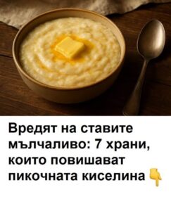 514343557 1394945192195127 36547646259059165 n