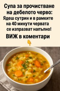 Супа за прочистване на дебелото черво: Ядеш сутрин и в рамките на 40 минути червата се изпразват напълно! 50 517586549 753337807039454 8054758284847494111 n