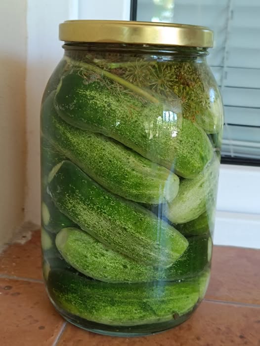 Колко сол и захар се слага в киселите краставички, за да са хрупкави и вкусни 3 520181526 749698281081966 4095370016085244025 n