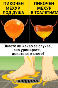 88a1d3bf a37e 4f2d 9822 2faedd7a8e23
