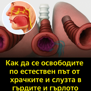 Как да се освободите по естествен път от храчките и слузта в гърдите и гърлото 44 chatgpt image 10.07.2025 g. 12 30 46