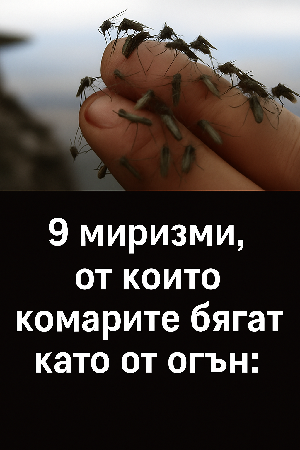 Девет миризми, от които комарите бягат като от огън: 3 chatgpt image 11.07.2025 g. 15 19 58