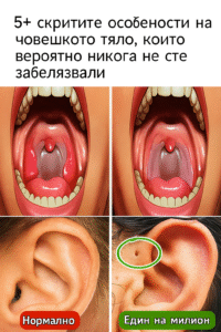 5+ скрити особености на човешкото тяло, които вероятно никога не сте забелязвали 38 chatgpt image 12.07.2025 g. 13 18 03