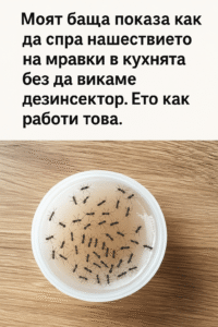 chatgpt image 15.07.2025 g. 23 31 33