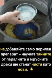 chatgpt image 16.07.2025 g. 23 29 19