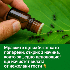 chatgpt image 20.07.2025 g. 14 29 35