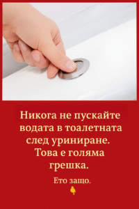 Никога не пускайте водата в тоалетната след уриниране. Това е голяма грешка! 26 chatgpt image 22.07.2025 g. 14 12 21