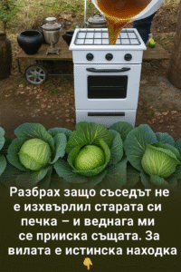 Разбрах защо съседът не изхвърлил старата печка и веднага и на мен ми се прииска такава. Истинско съкровище за двора! 48 chatgpt image 24.07.2025 g. 22 51 14