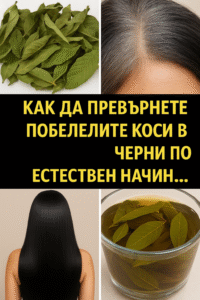 chatgpt image 26.07.2025 g. 11 58 52