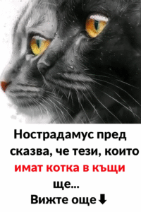Нострадамус предсказва, че тези, които имат котка в къщи, ще… 38 chatgpt image 7.07.2025 g. 18 21 18