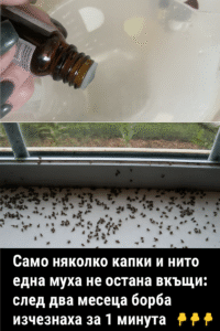 Само няколко капки и нито една муха не остана вкъщи: след два месеца борба изчезнаха за 1 минута. 2 chatgpt image 8.07.2025 g. 13 36 58