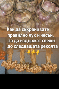 Как да съхранявате правилно лук и чесън, за да издържат свежи до следващата реколта: 58 chatgpt image 8.07.2025 g. 13 43 59