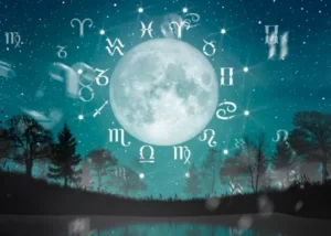 zodii 1 750x536.png